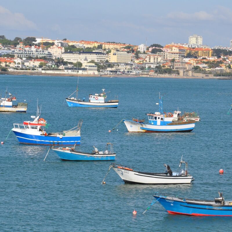 Portugal Virtuoso