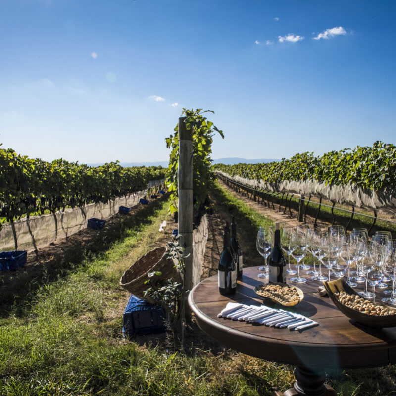 Vinhos Mineiros